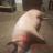 PigMarie