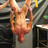 Harry