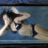 Dolcettwife1