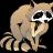 Raccoon